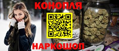 прущие грибы Гатчина