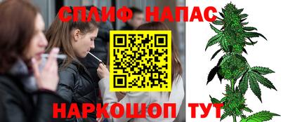 прущие грибы Гатчина