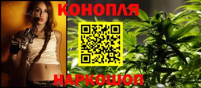 прущие грибы Гатчина