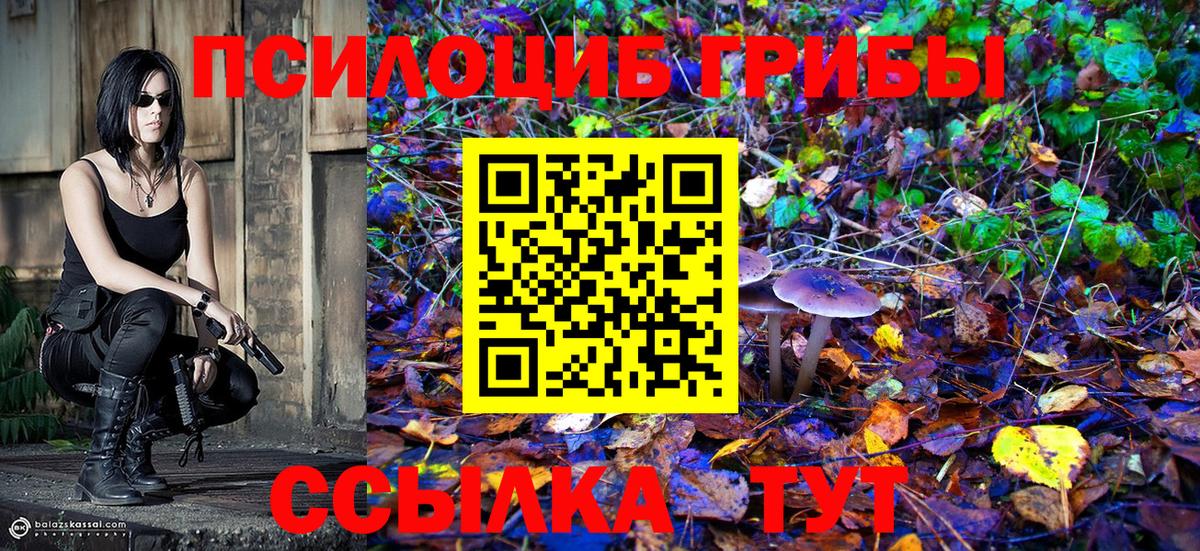 Новочебоксарск  Галлюциногенные грибы Psilocybe  Вход с VPN  Галлюциногенные грибы GOLDEN TEACHER 