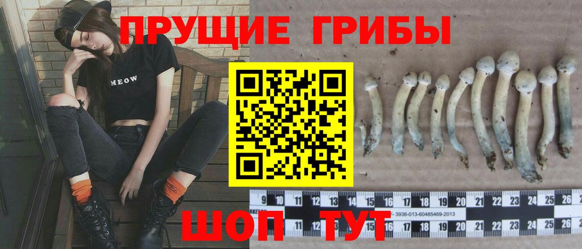 Галлюциногенные грибы MAGIC MUSHROOMS Новочебоксарск